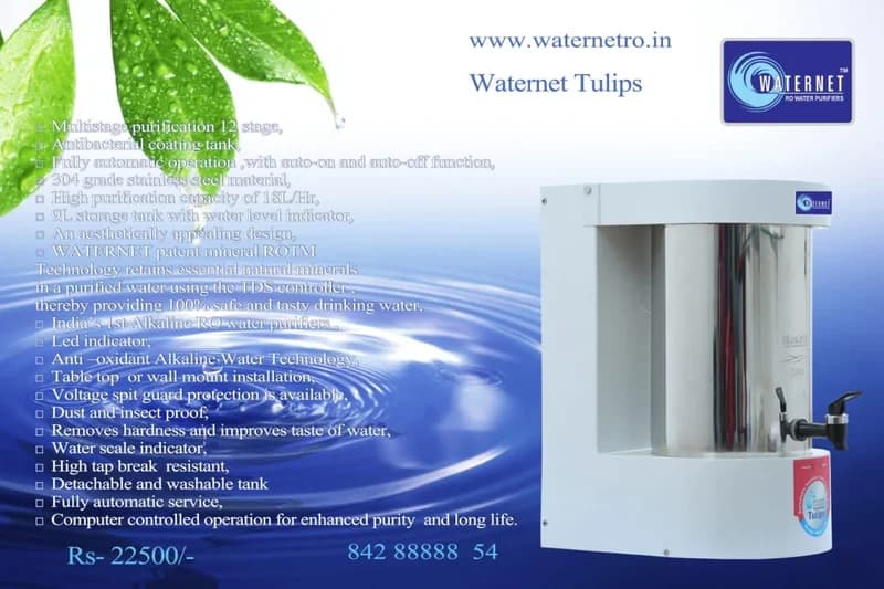 Waternet Tulips